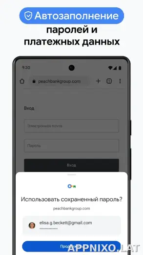 Google Chrome скриншот 6